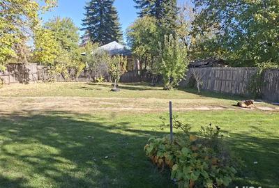 Casa cu teren 3.000 mp vie, livada, utilita?i, acte in regula! - 2