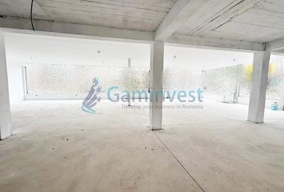 Spațiu comercial, de 280 mp, în Cantemir - 5