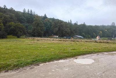 Teren intravilan de vanzare 2.000 mp, Cristian - Bra?ov. - 2