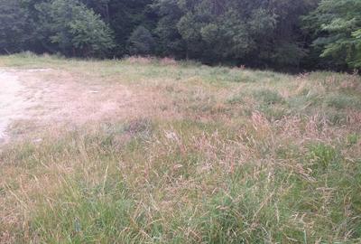 Teren de 1300 mp, în Paltin - 2