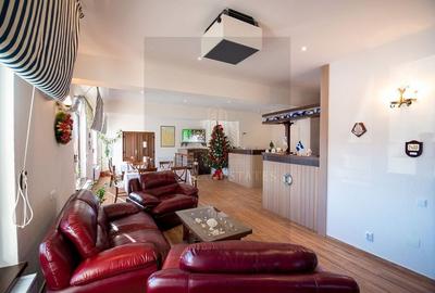 Vilă cu suflet și poveste în Tohanu Nou – Bran - 7