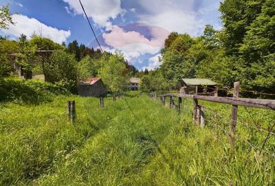 Comision 0%! Proprietate in natura, priveliste superba, S... - 2