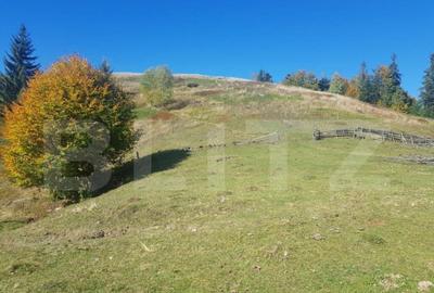 Super Oferta 5.2 euro/mp. Teren de vanzare in zona Arieseni - 4