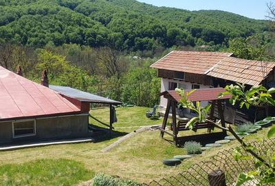 Casă cu 4 camere cu Teren 1200 Mp în Posești - 15