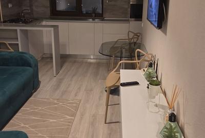 Apartament cu 2 camere în Frumoasa