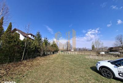Teren de 1600 mp, în Tohănița - 6