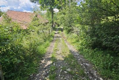 REL4001173 Teren de vanzare in Valea Doftanei - 4