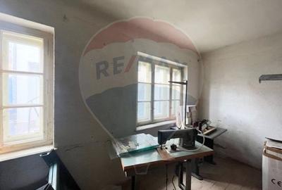 Apartament cu 1 camere de vanzare in zona Terezian - 4