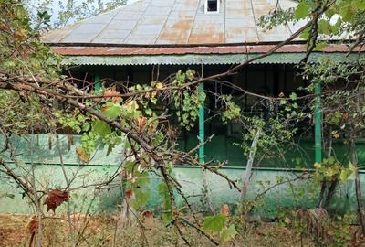 Casă cu 2 camere cu Teren 3000 Mp în Diculești - 4