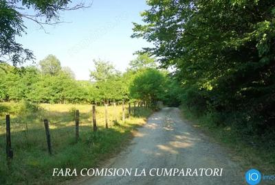 Teren de 6700 mp, în Central - 15