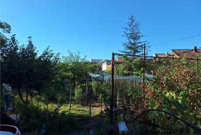 Reco, Casa demolabila, Oradea - 4