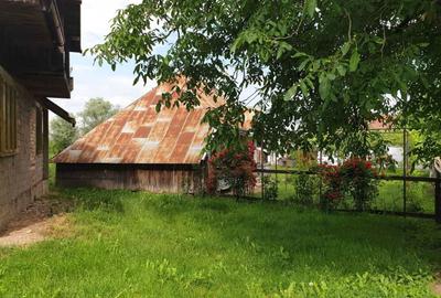 Casă cu 3 camere cu Teren 3600 Mp în Fântâna Mare - 1