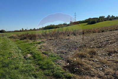 Teren de 2240 mp, în Lăpuș - 2