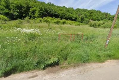 Teren de 4900 mp, în Almașu - 2
