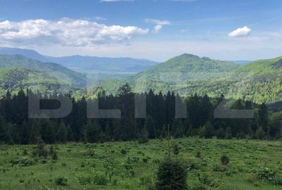 Spațiu comercial, în Părău - 2