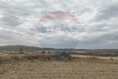 Teren de 11900 mp, în Fârdea - 9