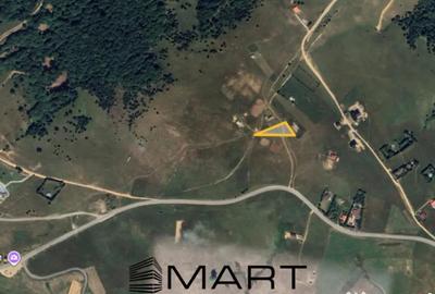 Teren de 1500 mp, în Paltin - 3