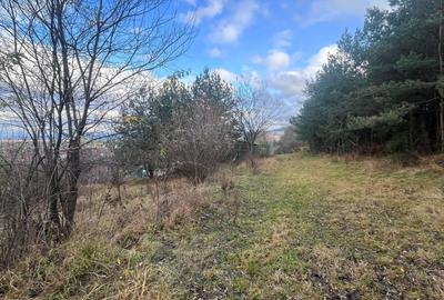 Teren Construcții intravilan de 495 mp, în Poiana Angelescu - 5