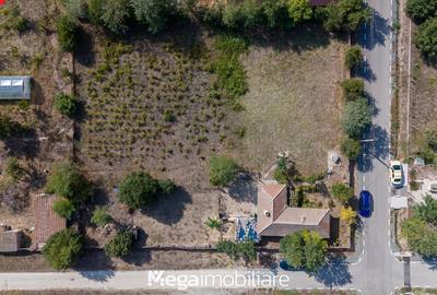 Casă individuală cu 4 camere cu Teren 2106 Mp în Potârnichea - 6