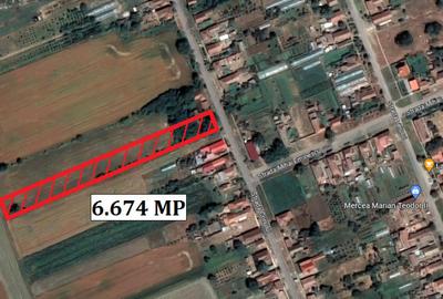 Teren de 6674 mp, în Macea - 1