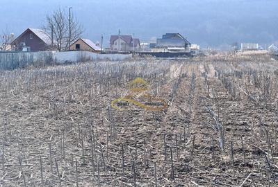 Teren Construcții intravilan de 3600 mp, în Hemeiuș - 3