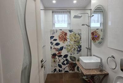 Apartament cu 2 camere decomandat în Săsar - 5