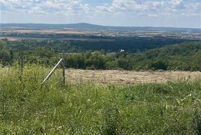 RECO Teren Extravilan Podgoria Oradea - 5