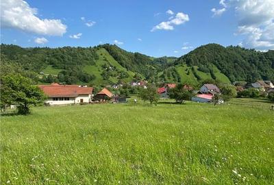 Spațiu comercial, în Județean - 3