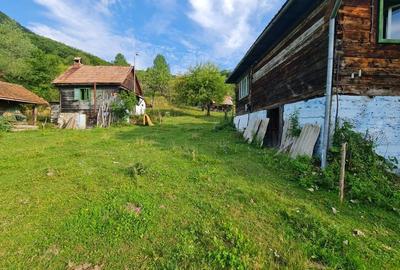 Teren de 30000 mp, în Pleșcuța - 4