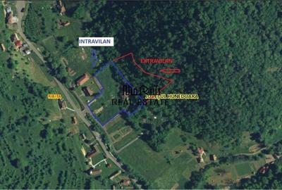 Teren, padure si casa in Dumbrava de Jos, jud. Hunedoara - 11