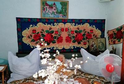 Casă cu 5 camere în Rachelu - 6