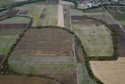 Teren agricol de 34.500mp in Albina, Jude?ul Timi? - 3