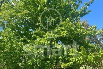 Spațiu comercial, în Borhanci - 3