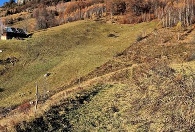 Teren de vânzare în sat Măgura/ Brasov– loc pentru familie, liniște și suflet - 21