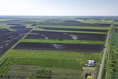 Livada de nuci ?i pruni 2.4ha in Varia?ul Mare - 10
