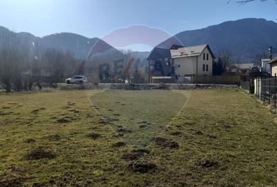 Teren Construcții intravilan de 1486 mp, în Central - 5