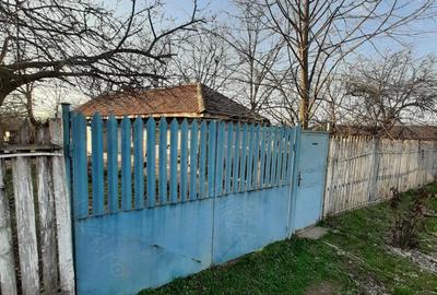 Casă cu 4 camere cu Teren 3113 Mp în Drăgănești-Vlașca - 2