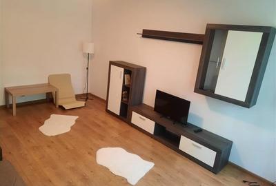 3 cam drumul taberei 8 min metrou raul doamnei - 3