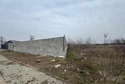 Teren intravilan Chitila , Ilfov Teren intravilan Chitila , Ilfov - 4