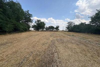 Teren de 2580 mp, în Central - 2