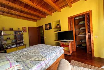 Vila Exclusivista Piatra Arsa Busteni - 8