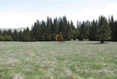 Terenuri speciale Padina Busteni, sunt dispuse ca o veritabila coroana in jurul - 5