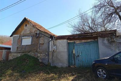 Casă cu 2 camere cu Teren 1439 Mp în Brădișoru de Jos
