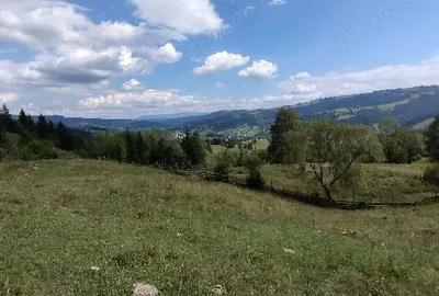 Teren în Lunca - 1