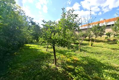 De vânzare   Casă în Soveja, Munții Vrancei - 5