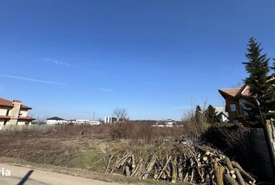 Teren de 992 mp, în Băneasa - 3