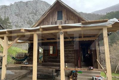 Casa de vacanta,3300 mp teren,Intregalde - 3