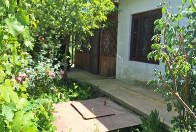 Casă cu 6 camere cu Teren 1668 Mp în Stăncuța - 9