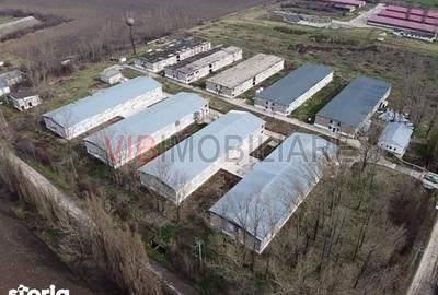 Teren de 35000 mp, în Funcționarilor - 3