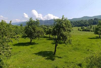 Oferta luna aceasta! Teren 10000 mp in Corbi Arges - 8